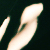 Highslide JS
